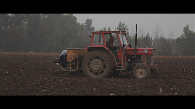 Des femmes sèment des pommes de terre à  l'arrière d'un tracteur.